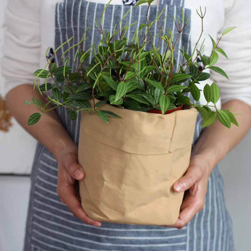 Cement Cloth Bag Flowerpot Cowhide Bag Simple