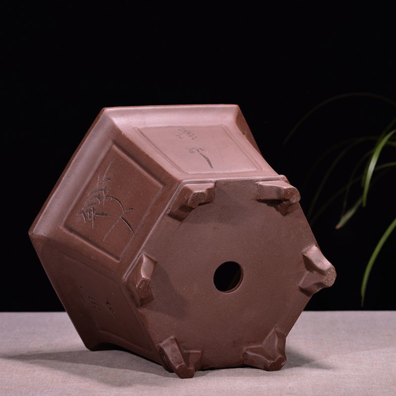 Purple Sand Flowerpot Breathable Bonsai Pot Orchid Pots Banyan Potted Green Radish