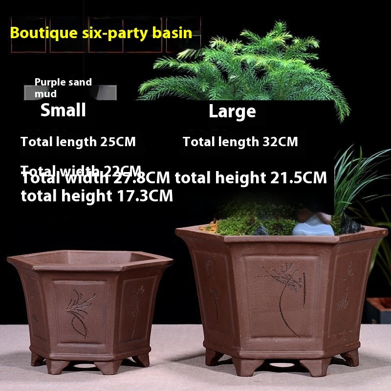 Purple Sand Flowerpot Breathable Bonsai Pot Orchid Pots Banyan Potted Green Radish