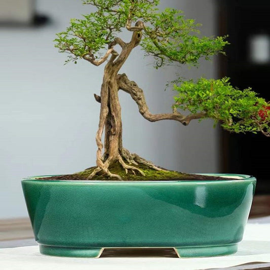 Purple Sand Flowerpot Ceramic Rectangular Bonsai