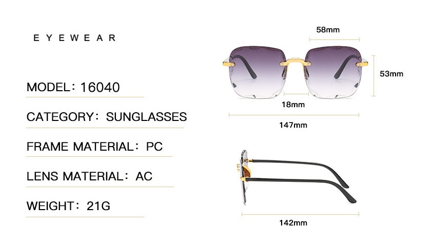 Large frame square sunglasses with trim