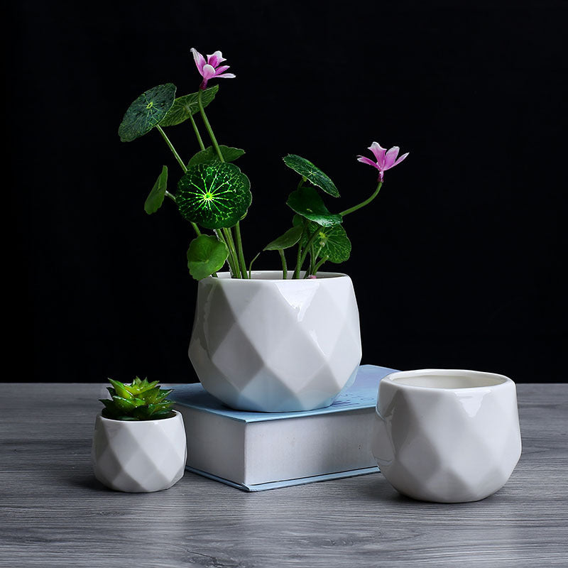 Flower Garden Polyhedron White Ceramic Flower Pot